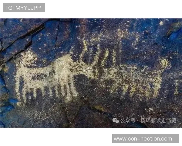 前史最佳！西藏24金32银20铜